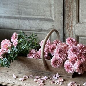Hello Gorgeous 🌸 Come On In